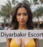Diyarbakır Escort Liseli Kızlar - Diyarbakır Escort - Kayapınar Ofis Bağlar Yenişehir Eskort Diyarbakır Escort Liseli Kızlar